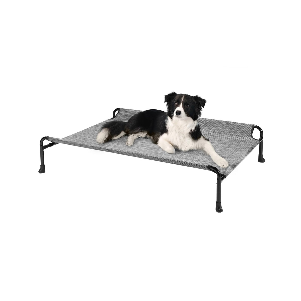 Veehoo Elevated Dog Bed Cooling Raised Dog Bed with Guardrail & Headrest Upgraded Non-Slip Silicon Feet Breathable Teslin Mesh Portable Pet Cot for Indoor and Outdoor Medium Black Silver CWC2404