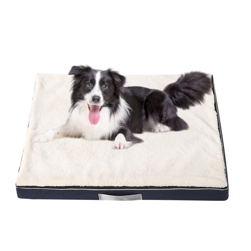 Memory Foam Dog Bed