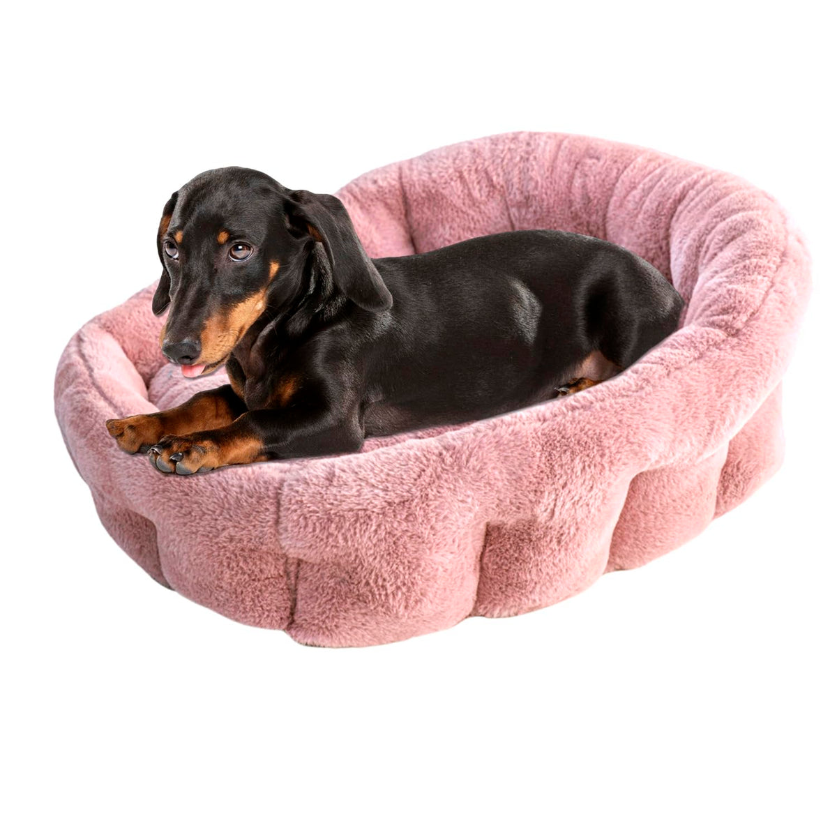 KindTail Medium Orthopedic Dog Bed Cuddler Faux Fur Luxury Bed Pet Bed for Dogs and Cats Under 25lbs Waterproof Dog Bed with Nylon Base Comfy Pet Bed 25" x 21" x 12" (Pink Medium)